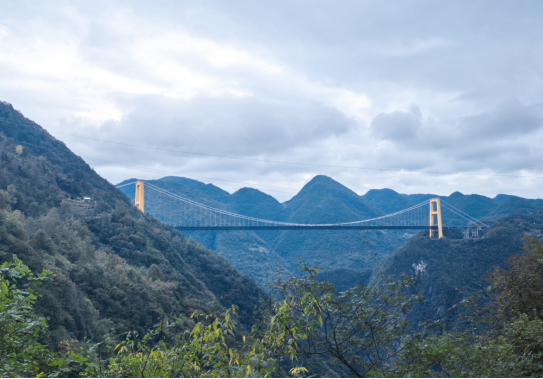 202510311b37799e3413a396f3aab226e46dbc99.png 202510311b37799e3413a396f3aab226e46dbc99.png