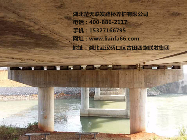 楚天联发郴州市北湖区华塘大桥板式支座更换项目